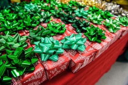 moore_family_christmas_20121211_1003